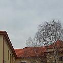 DSCN1302