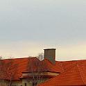 HPIM5582