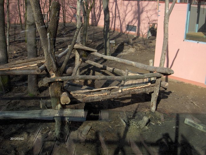 Original image